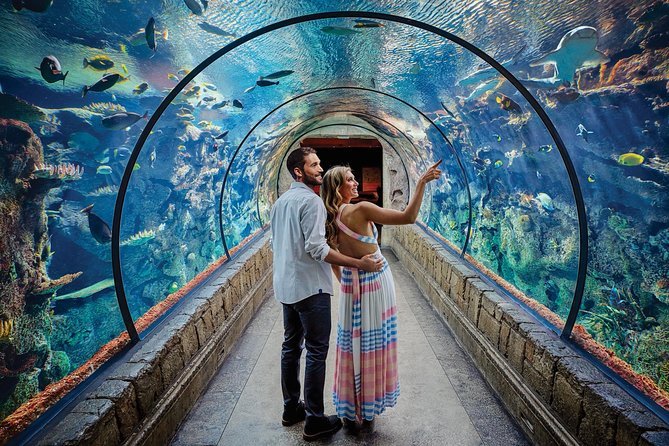 Shark Reef Aquarium